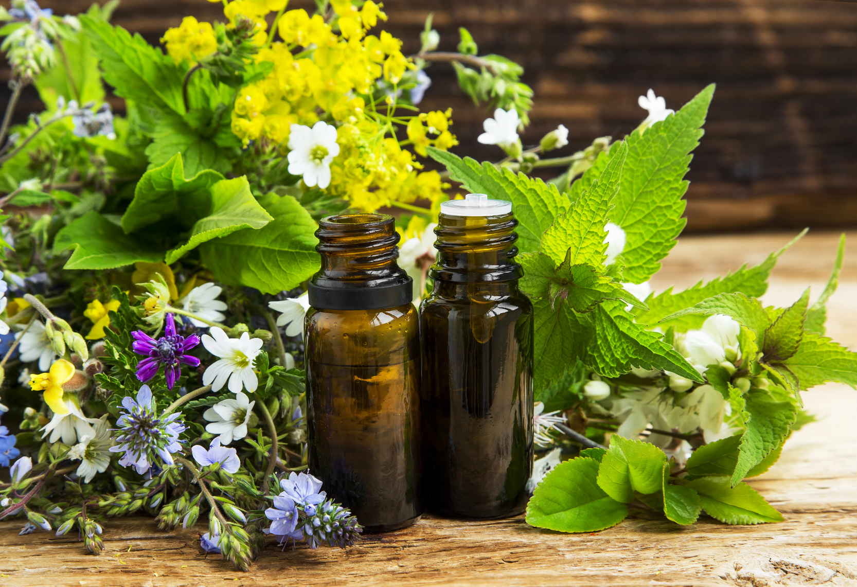 Alternative herbal medicine with medicinal plants essence bottles